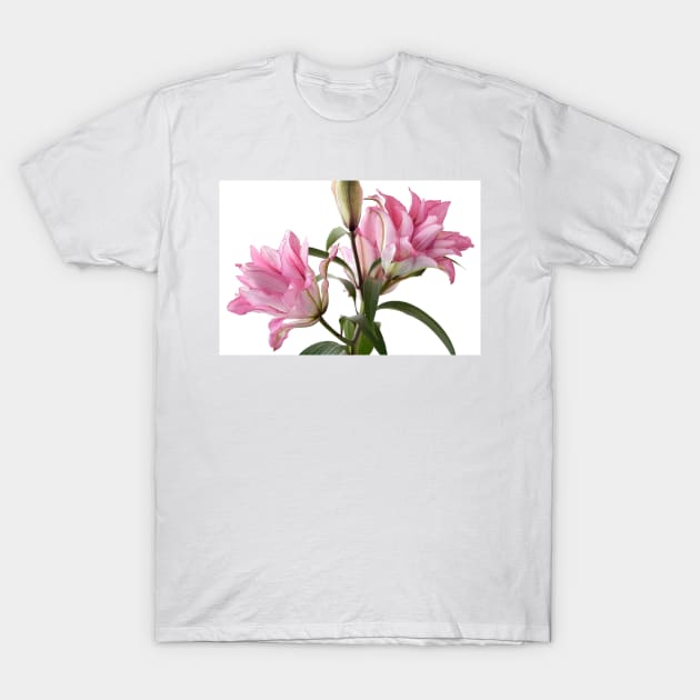 Lilium  Roselily Isabella  Double Oriental hybrid Lily T-Shirt by chrisburrows